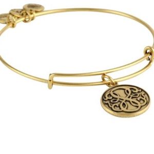 Path of Life infinity Alex and Ani